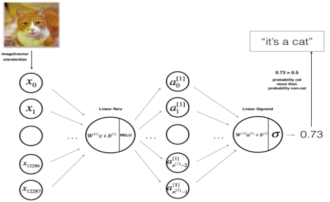 Deep neural network architecture for cat detection